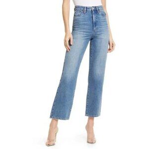 Blank NYC "The baxter" ribcage straight leg button fly jeans, 24